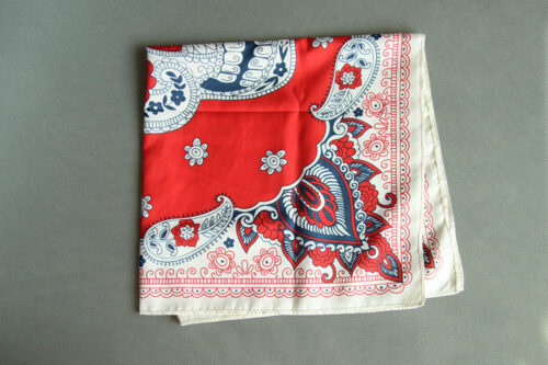 Paisley Skullmore | Skull Scarf, Bandana, Handkerchief - Image 2