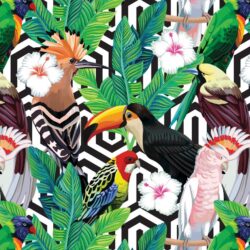 Art Deco Tropics, Artistic Tropical Bird & Palm Wallcovering