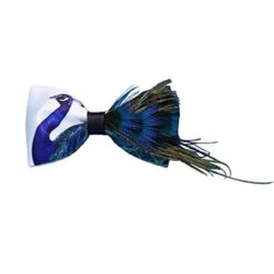 Peacock Tail Feathers Handmade Bow Tie
