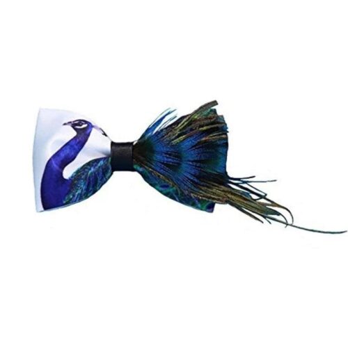 Peacock Tail Feathers Handmade Bow Tie