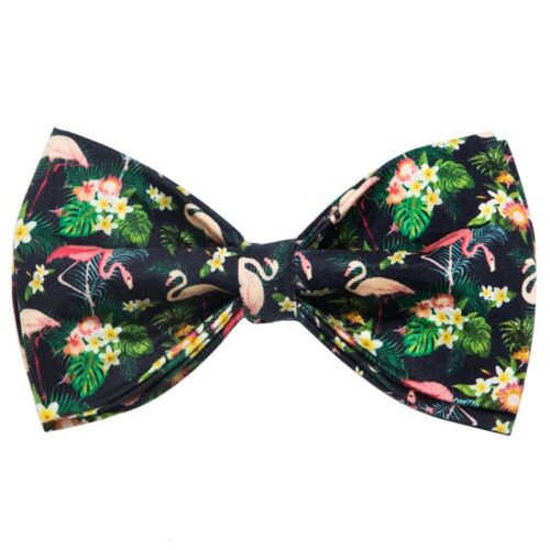 Yacht Bowtie Flamingo Dog Collar For Small Dogs - Image 3