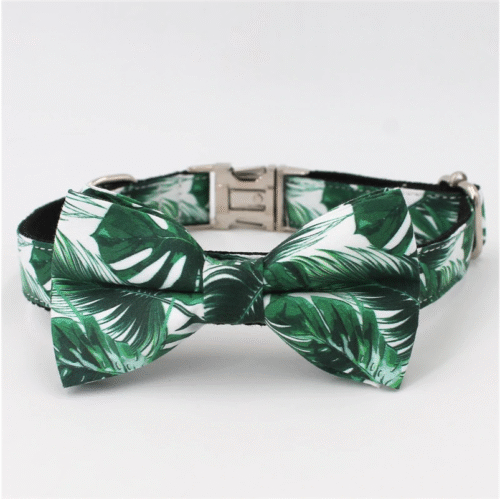 Miami Palms Dog Bow Tie | Tropical Leaves Dog Collar & Leash - Image 2