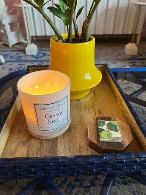 Navy Wood & Acrylic Bamboo Tray - Image 8