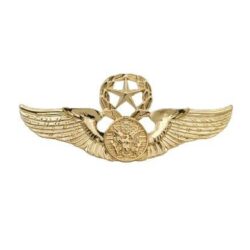 Spread Your Wings & Fly | British Style Retro Hawk Wing Pin