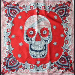 Paisley Skullmore | Skull Scarf, Bandana, Handkerchief