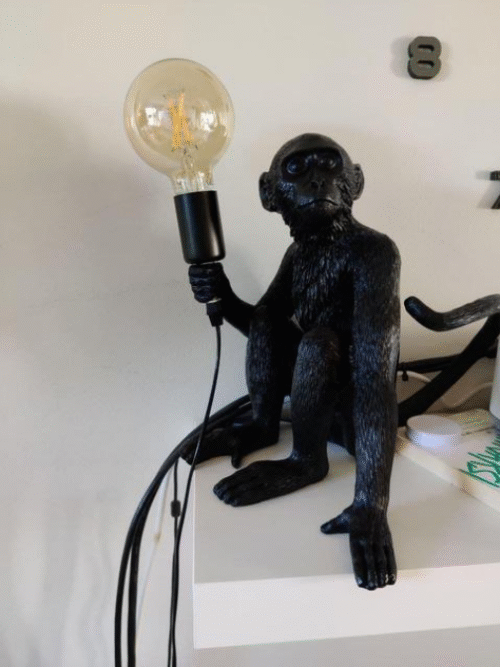 Hanging Monkey Wall Sconce - Image 12