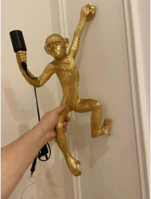 Hanging Monkey Wall Sconce - Image 8
