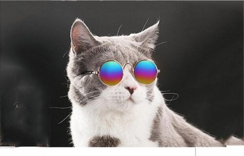 Pet Cat Glasses Dog Glasses Pet Products For Little Dog Cat Eye-wear Dog Sunglasses Photos Props Accessories Pet Supplies - Image 11