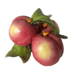 Plums